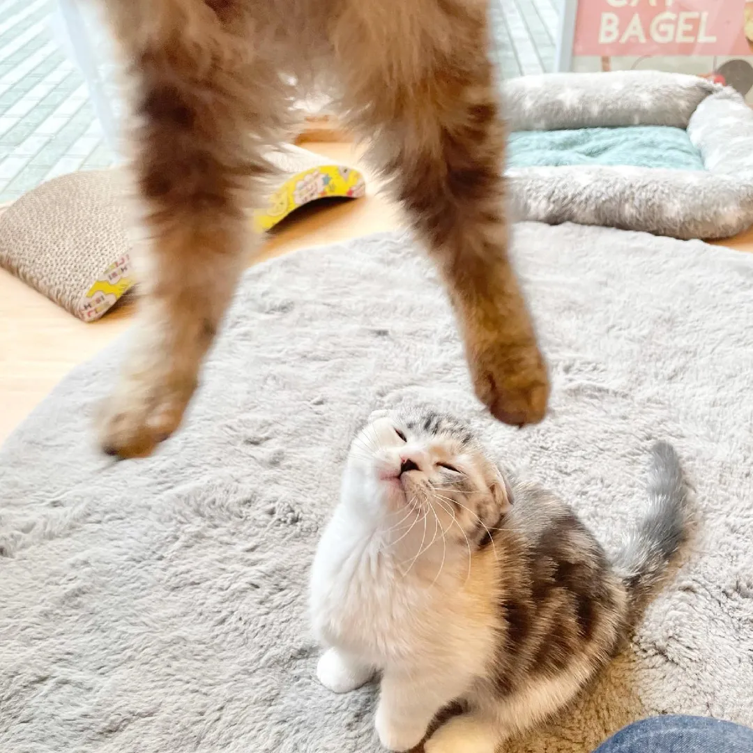 投稿の写真3