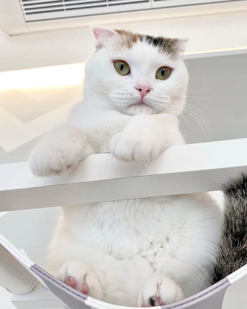 投稿の写真3