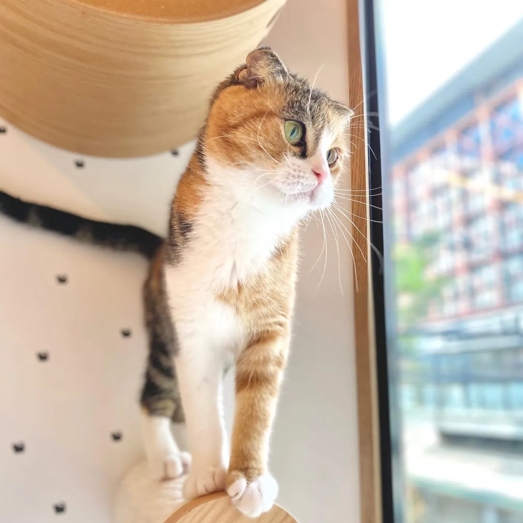 投稿の写真2