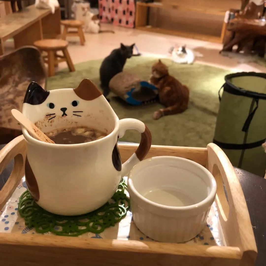 投稿の写真3