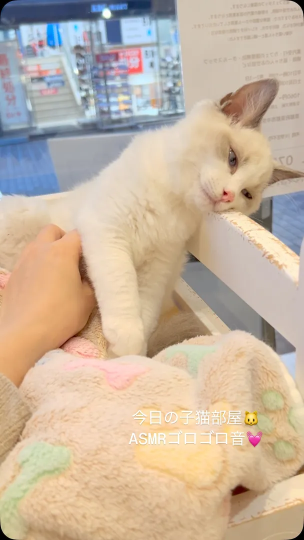 投稿の写真