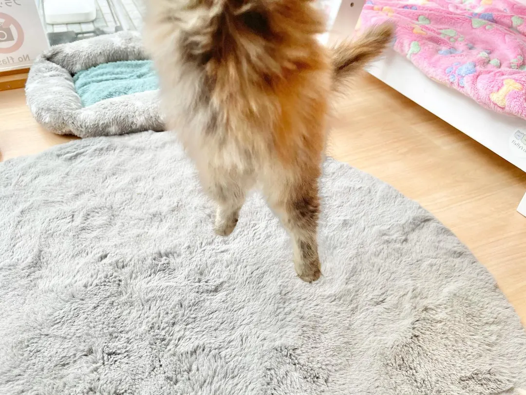 投稿の写真5