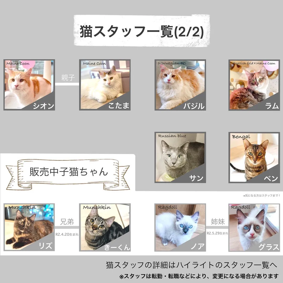 投稿の写真4