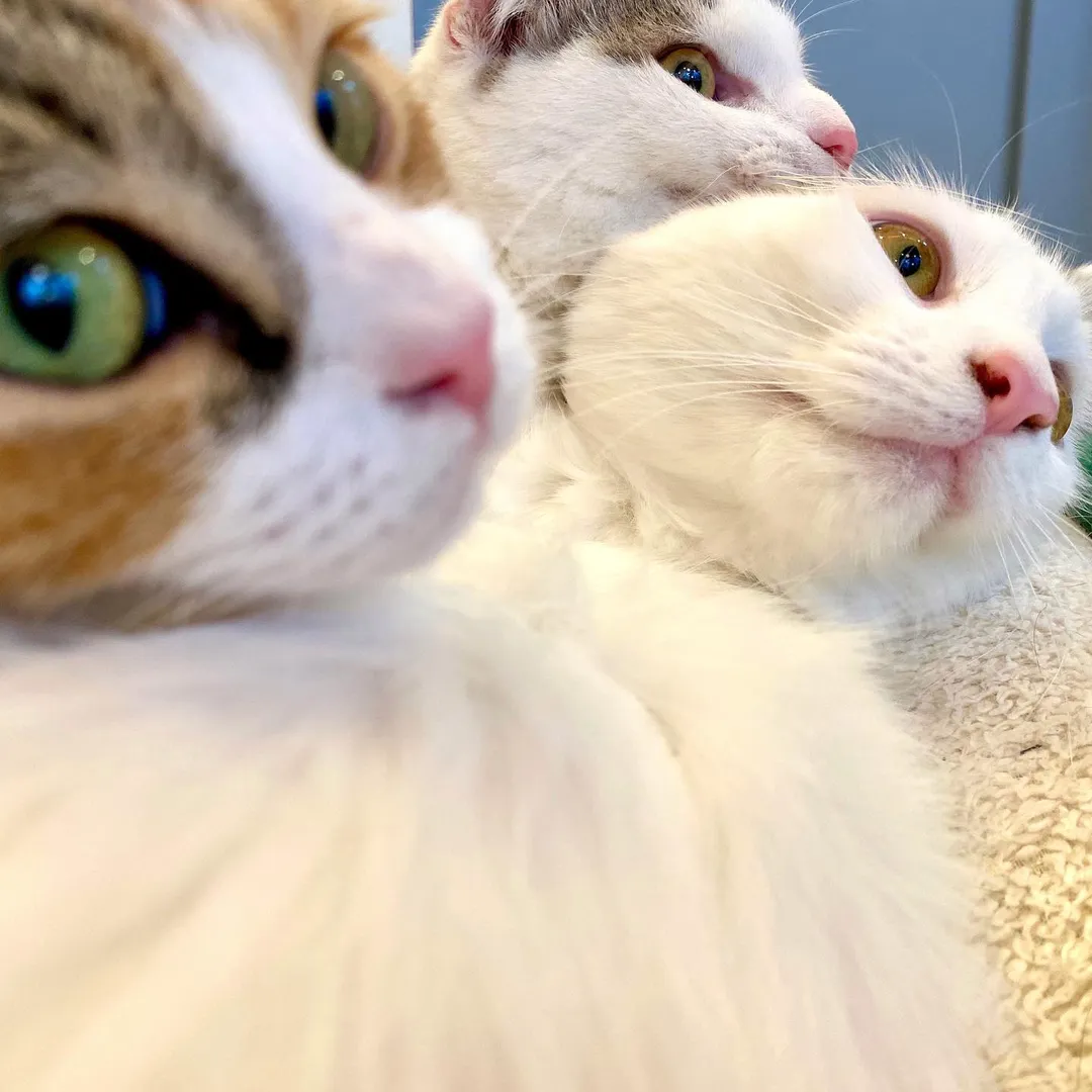 投稿の写真3