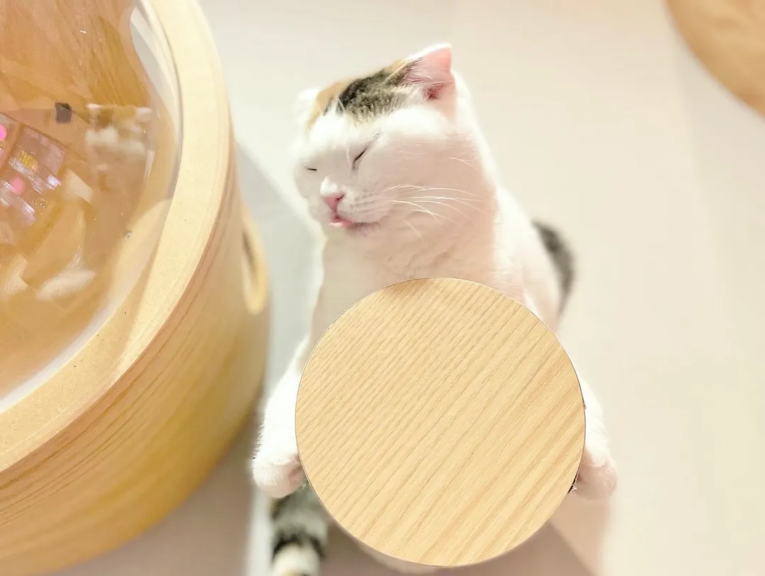 投稿の写真2