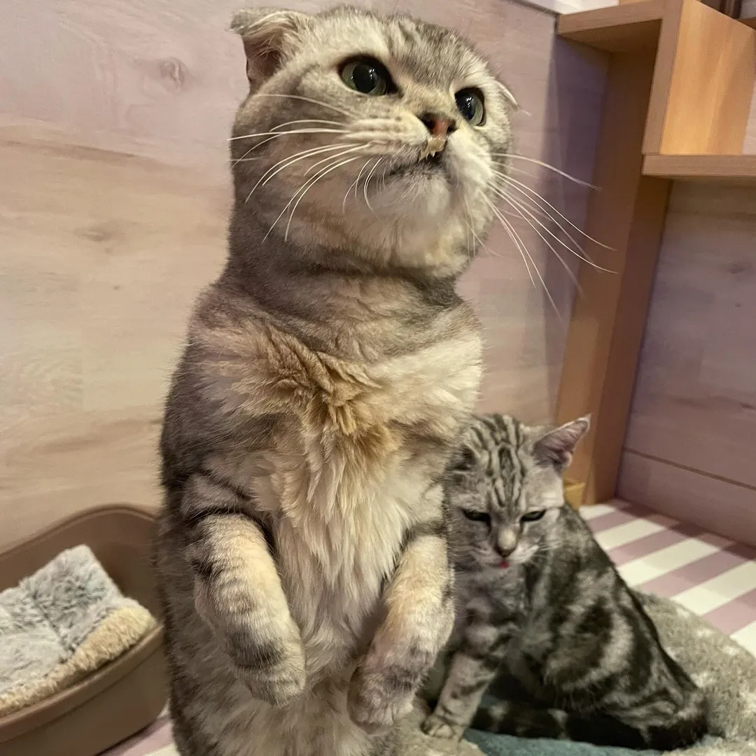 投稿の写真3