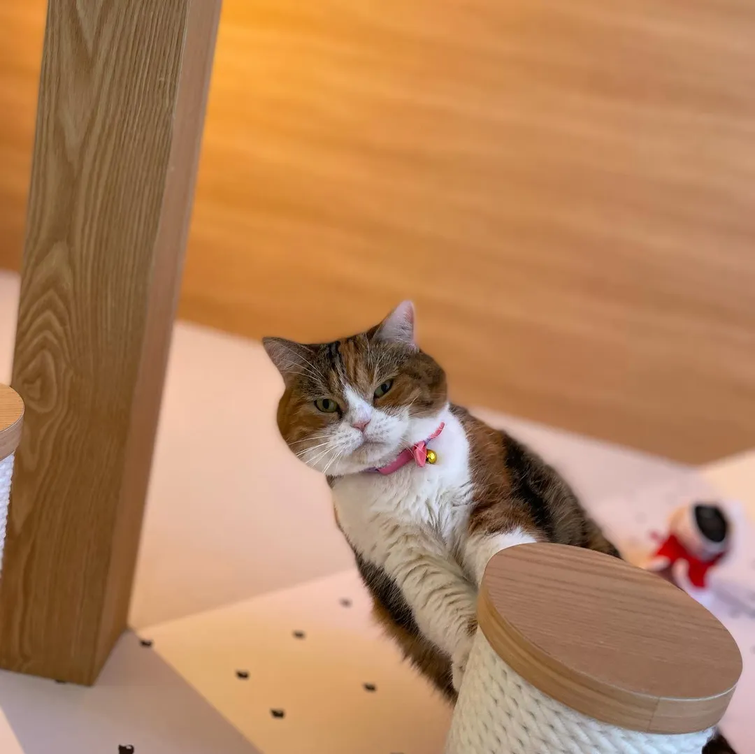 投稿の写真6