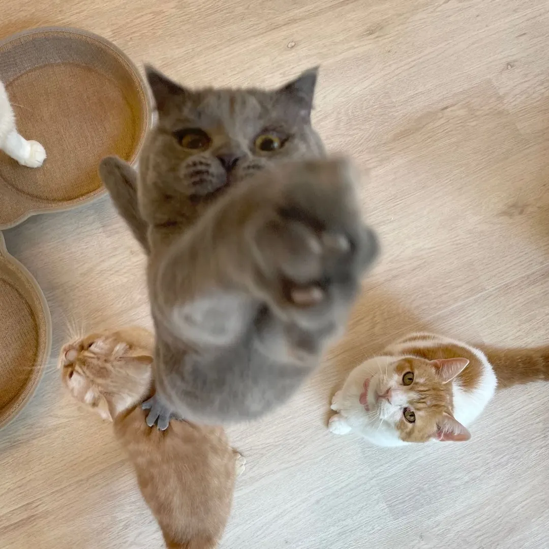 投稿の写真1
