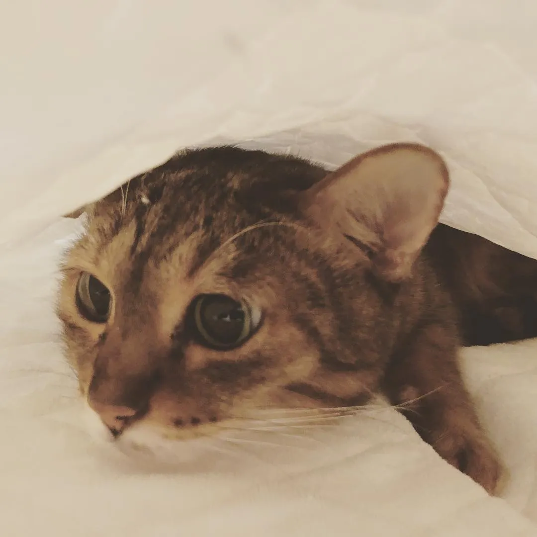 投稿の写真4