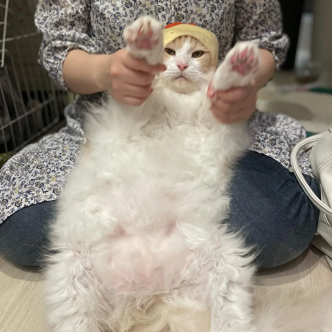 投稿の写真4