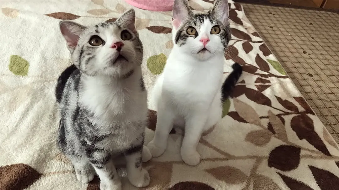 投稿の写真4
