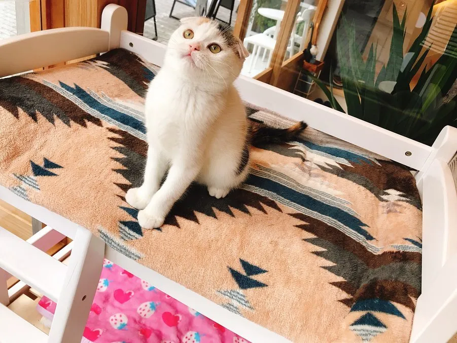 投稿の写真3