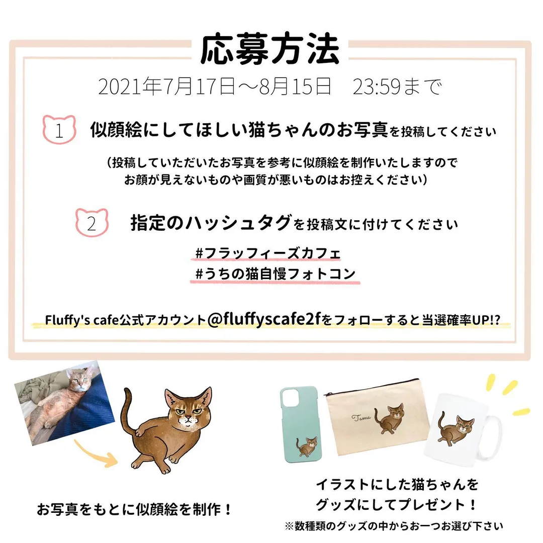 投稿の写真2