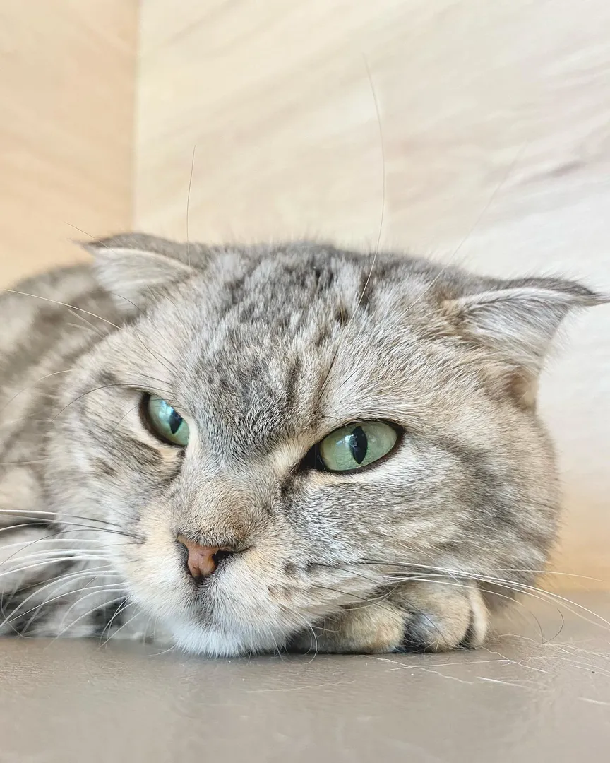 投稿の写真2