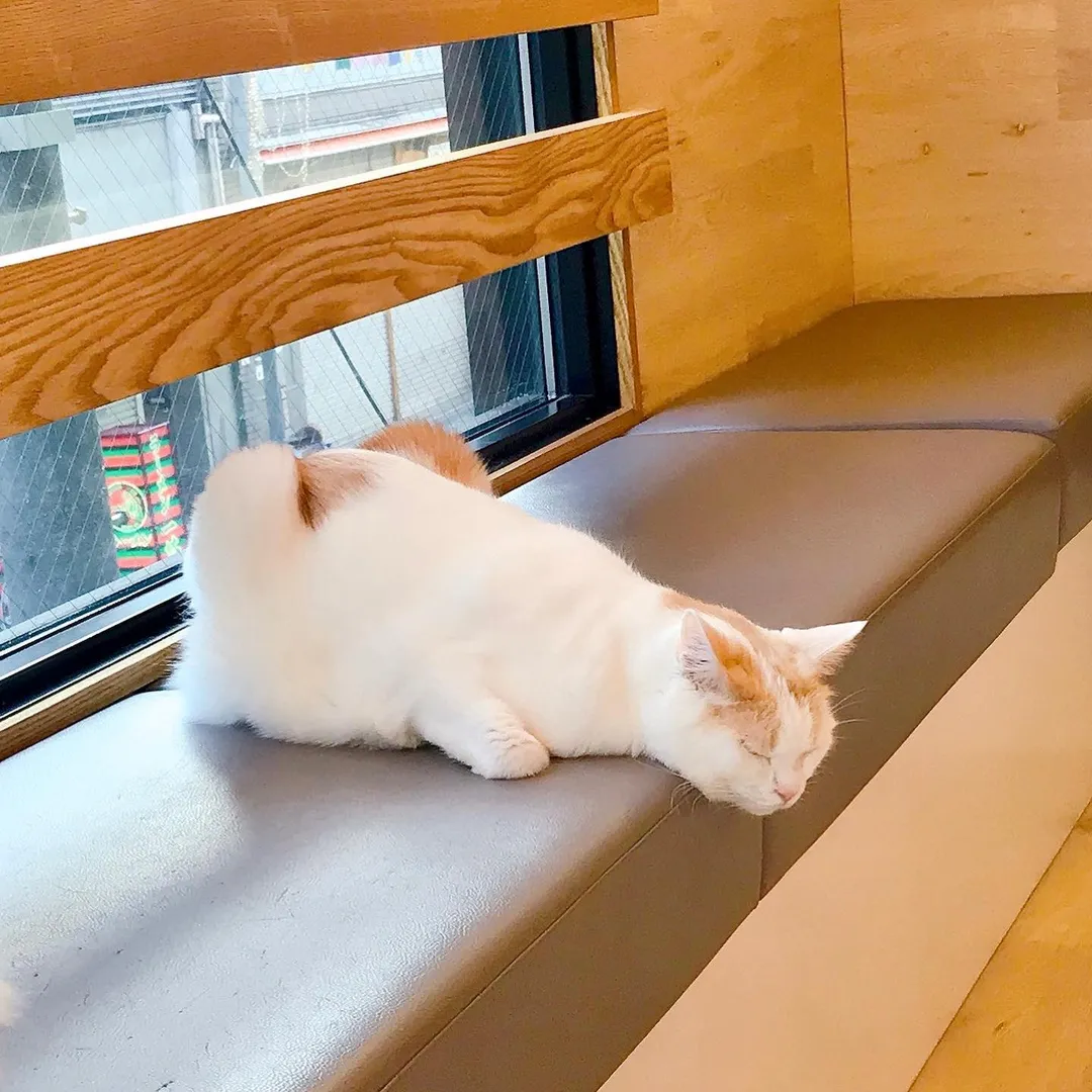投稿の写真5