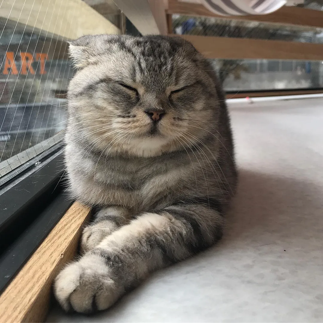 投稿の写真4