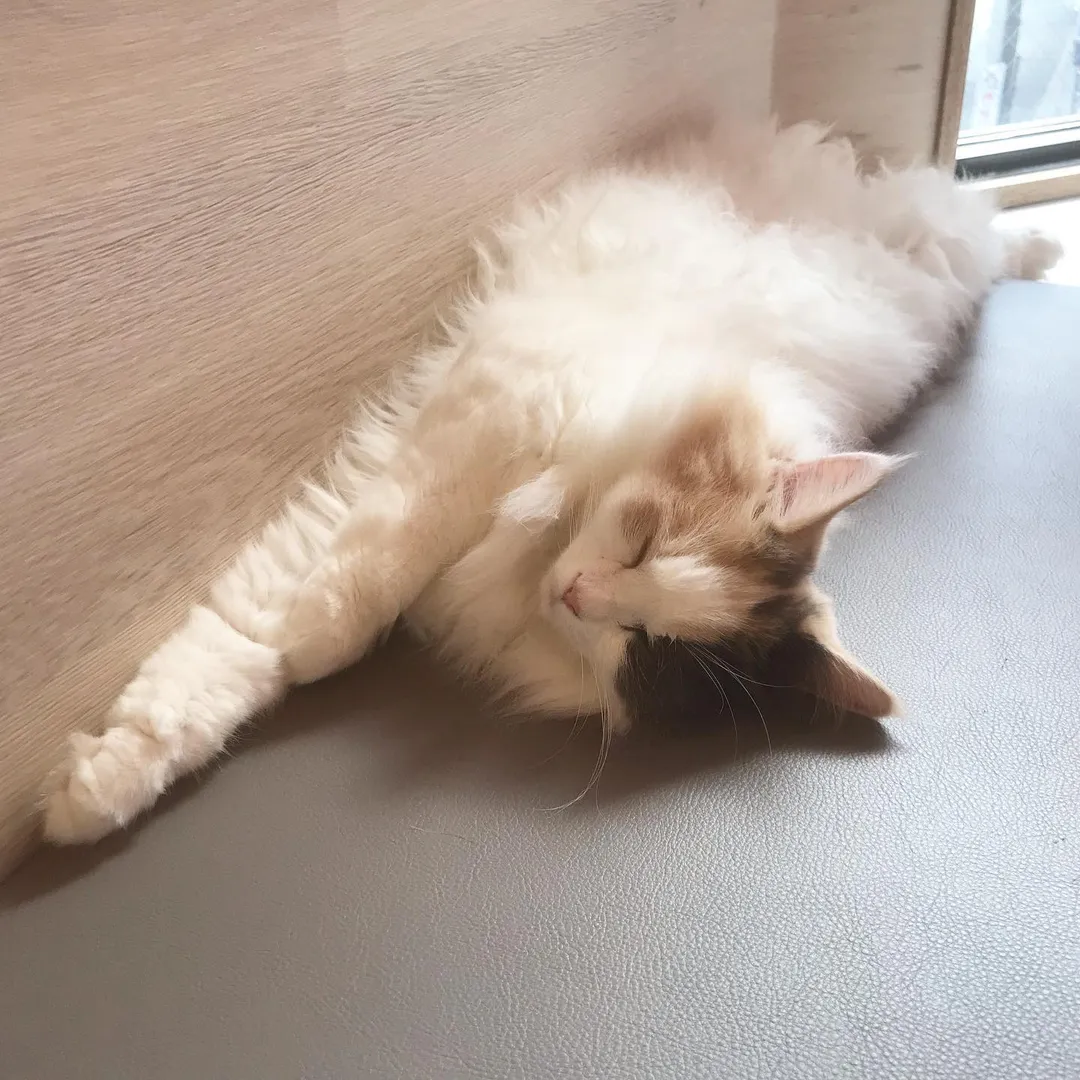 投稿の写真2