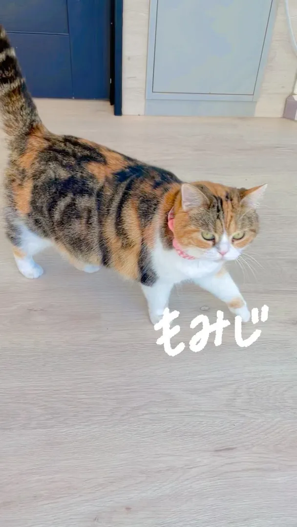 投稿の写真
