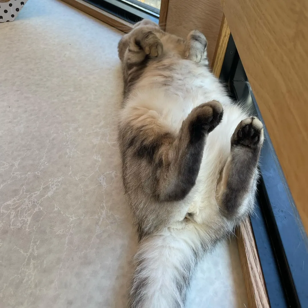 投稿の写真3