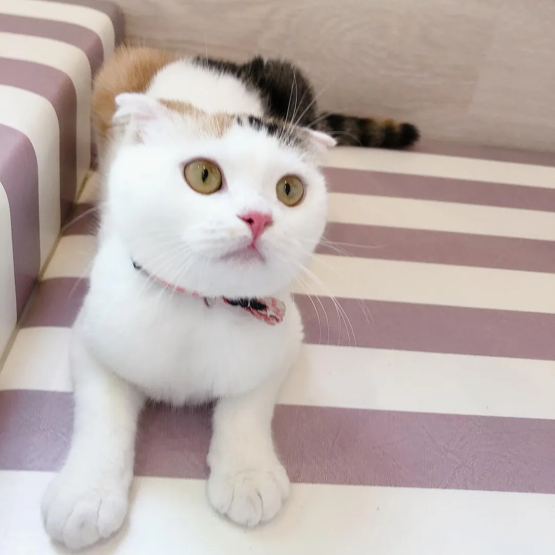投稿の写真3