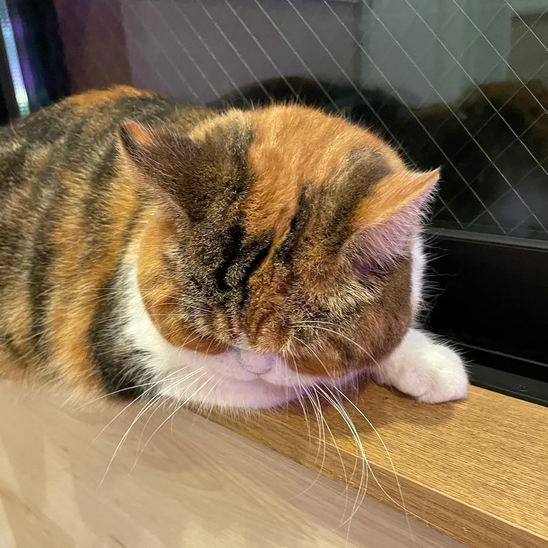 投稿の写真2