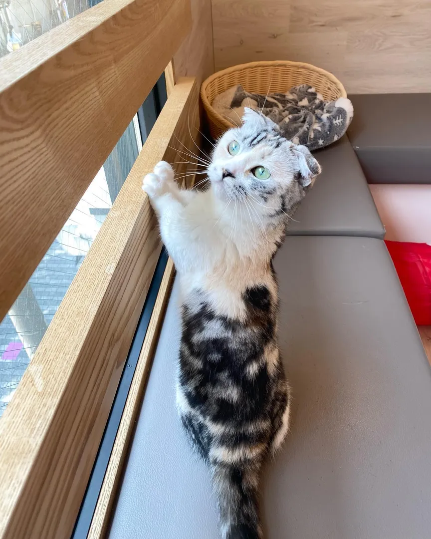投稿の写真2