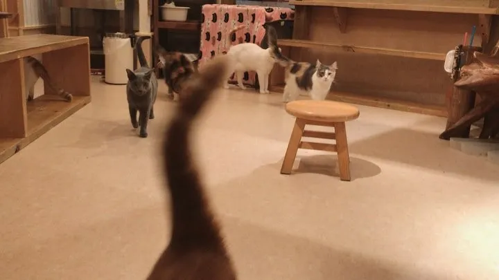 投稿の写真2