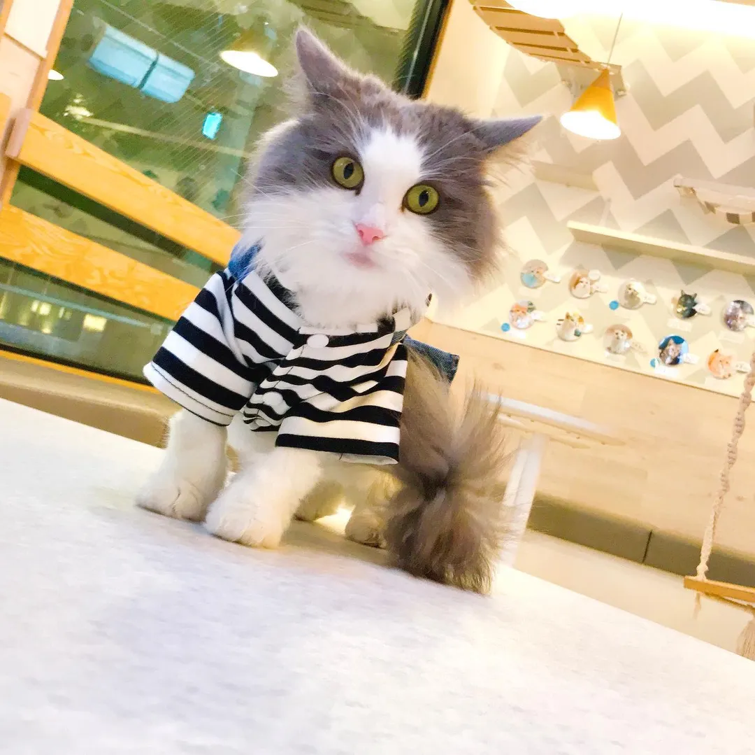 投稿の写真5