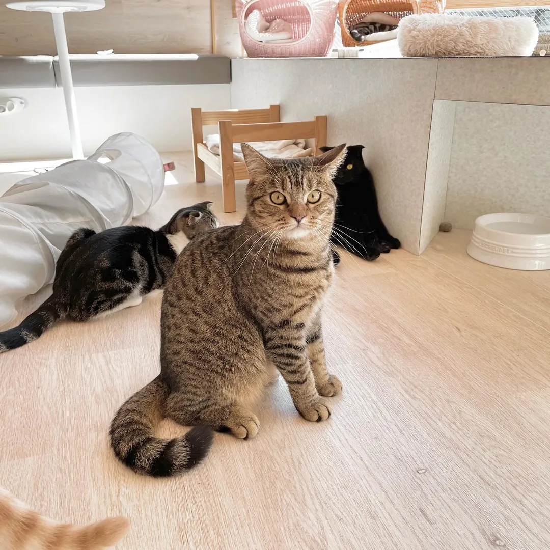 投稿の写真7