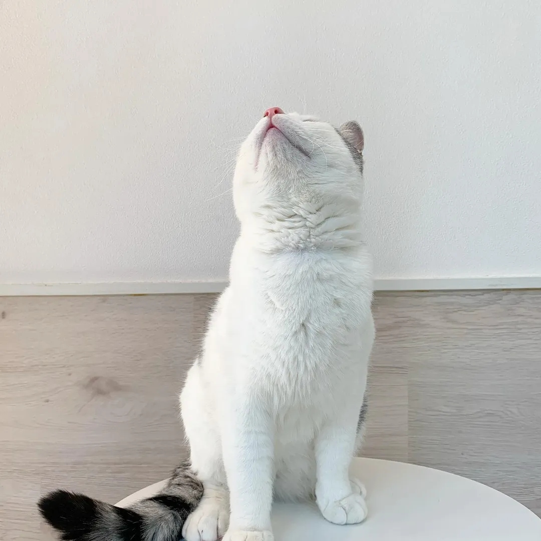 投稿の写真2