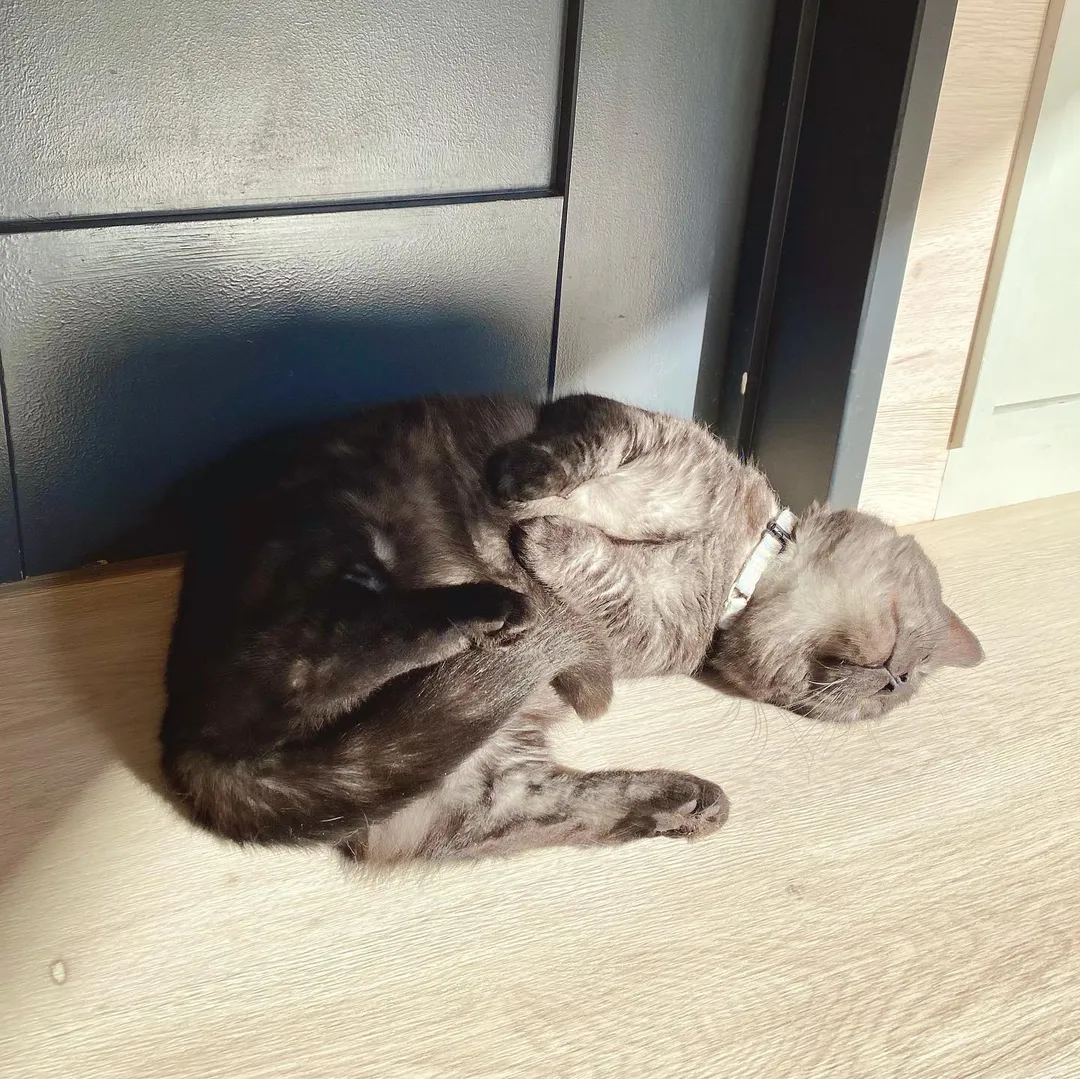 投稿の写真2