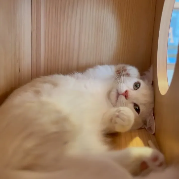 投稿の写真2