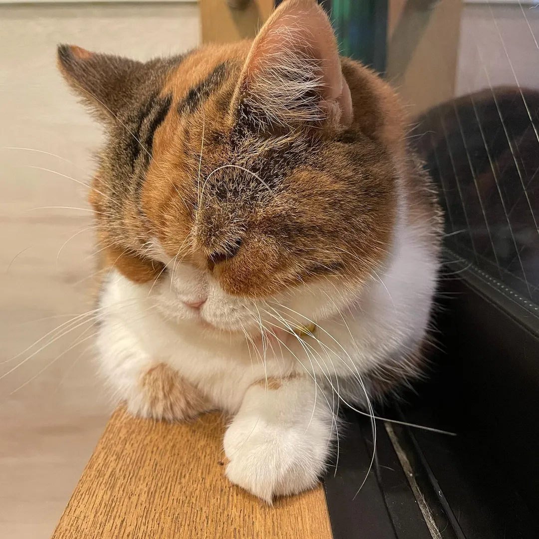 投稿の写真3