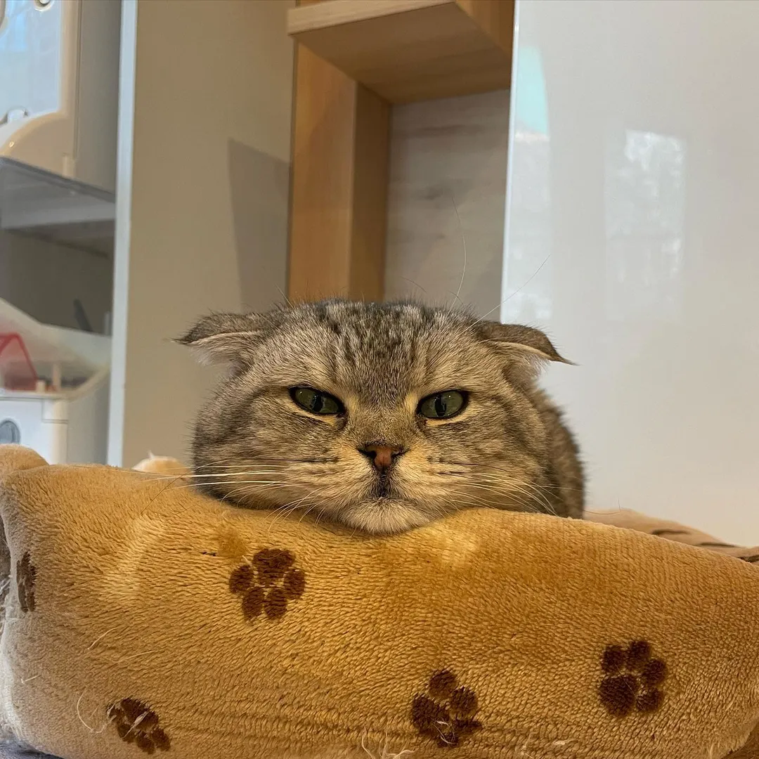 投稿の写真2