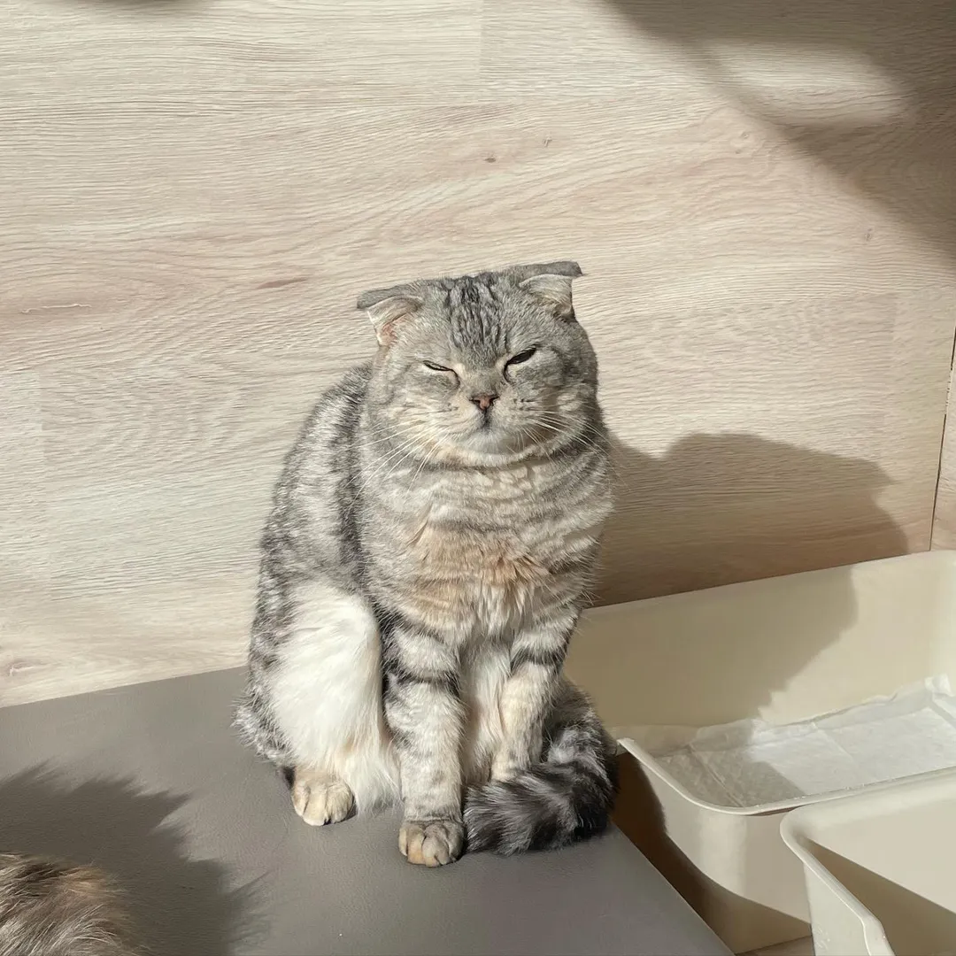 投稿の写真4
