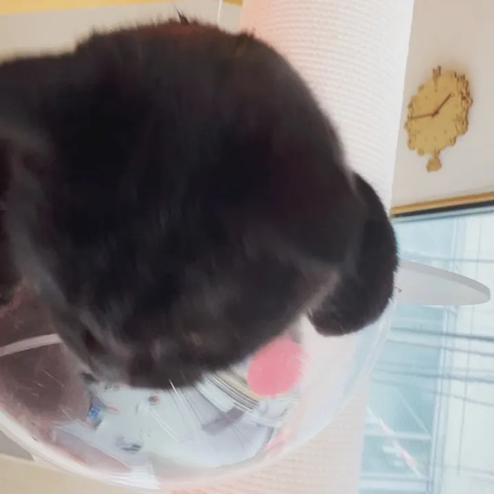 投稿の写真5