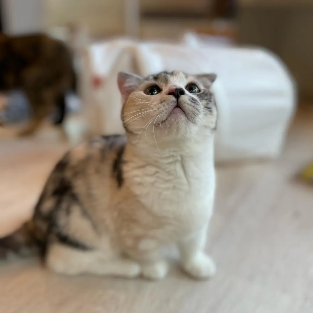 投稿の写真3
