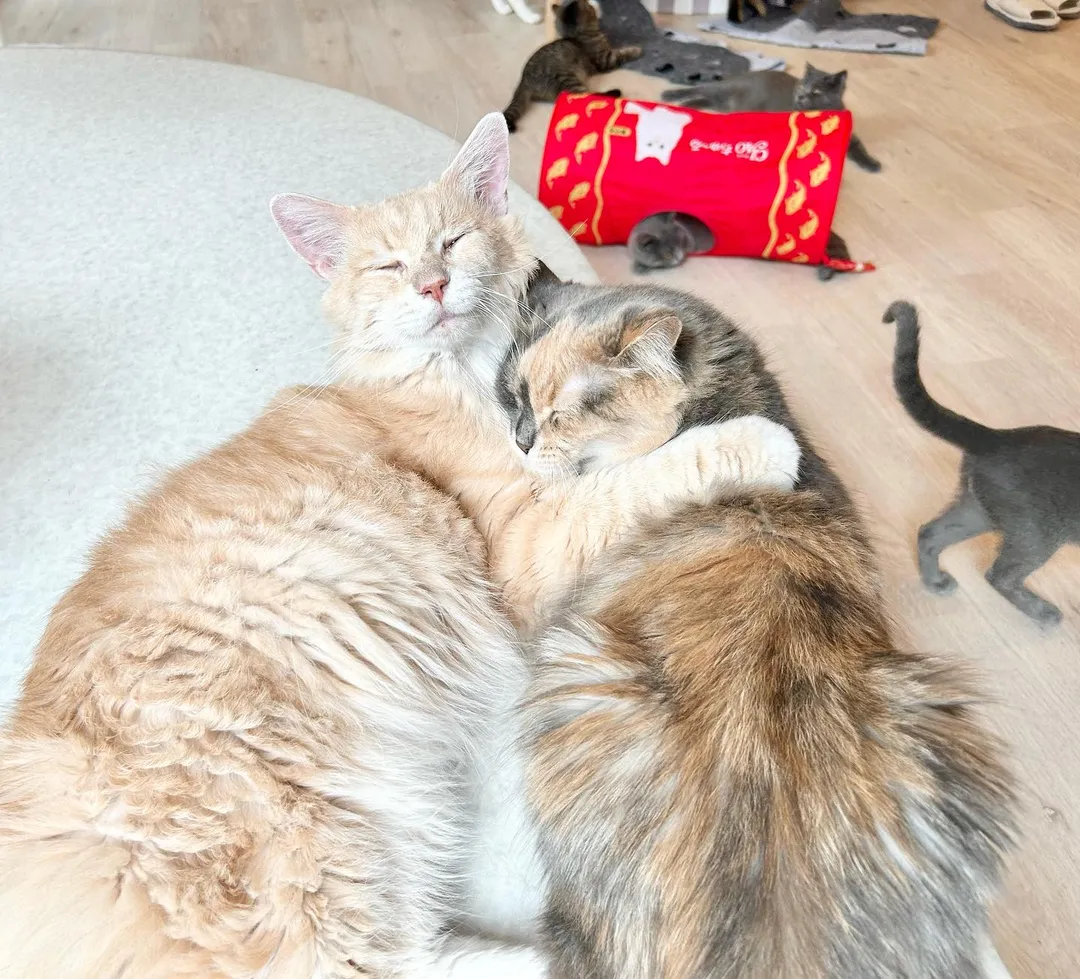 投稿の写真2