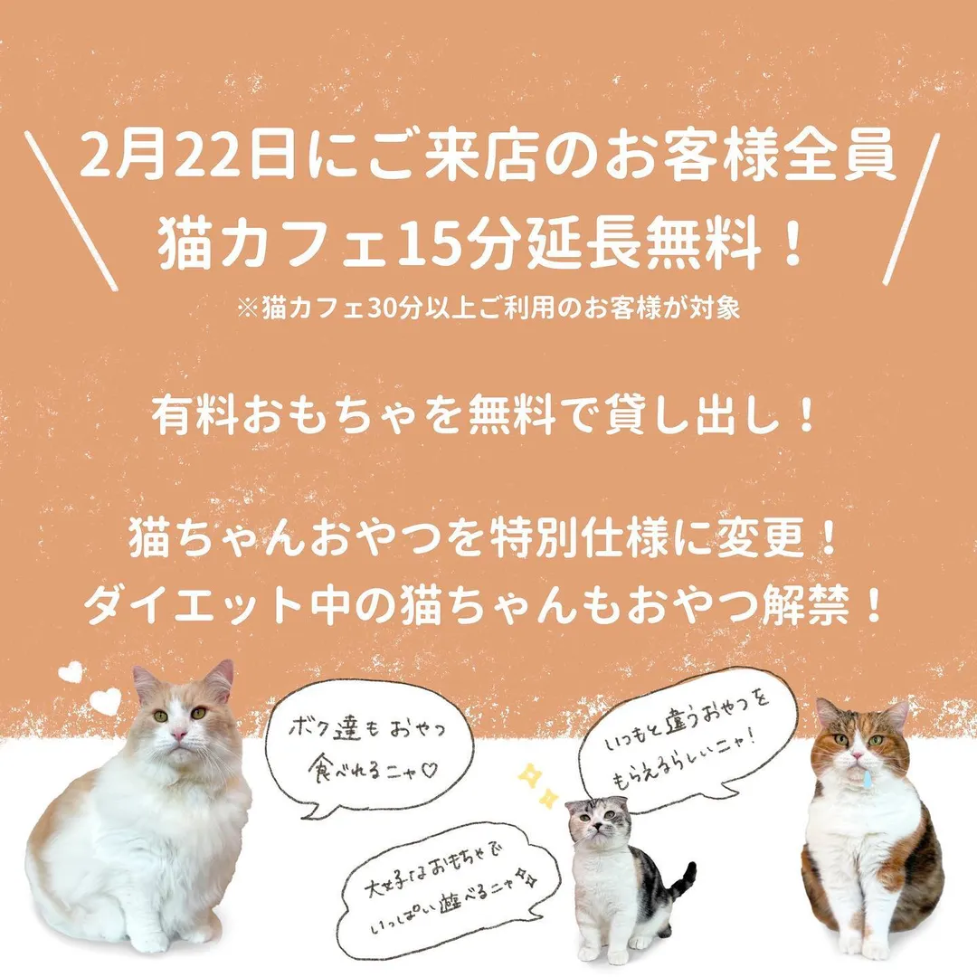 投稿の写真2