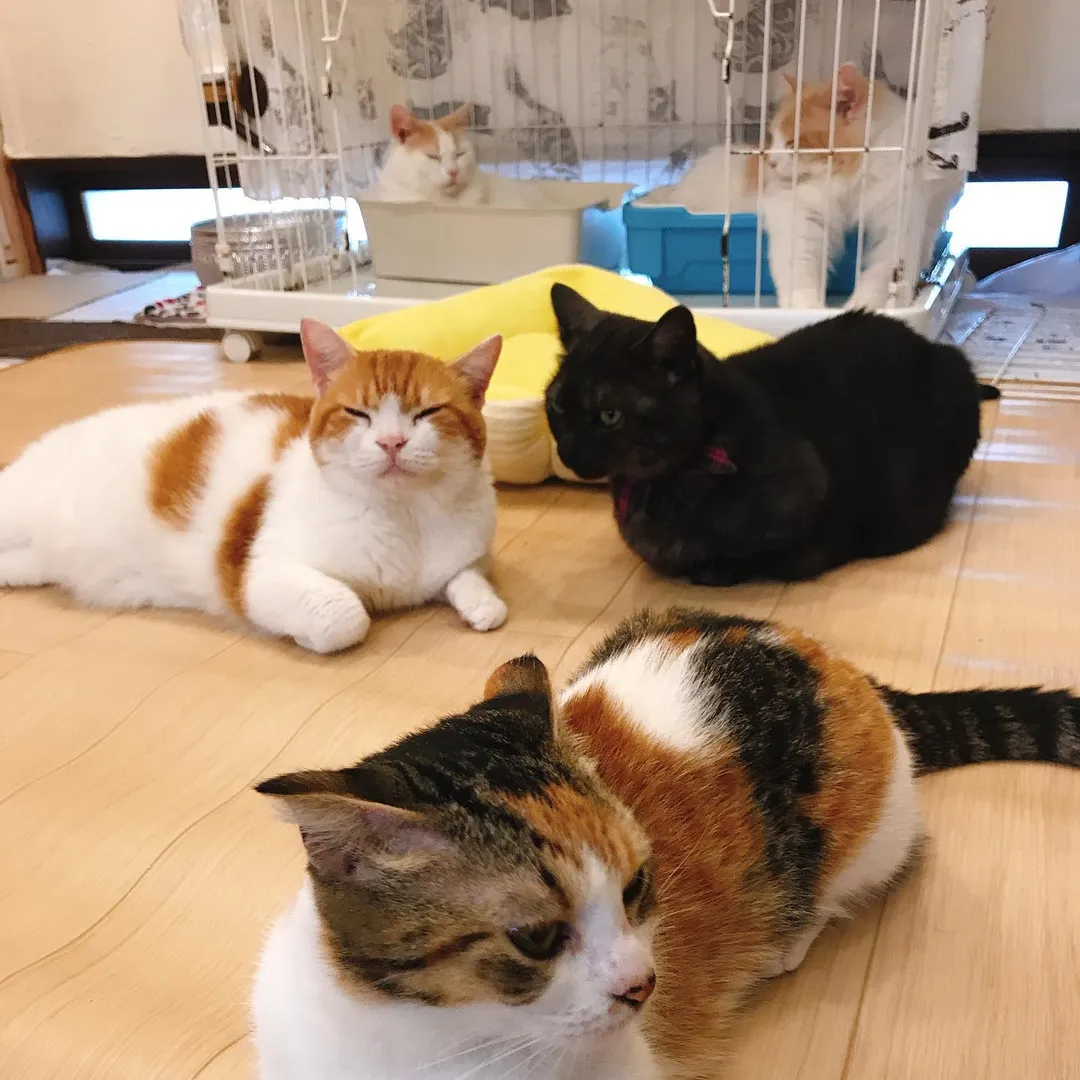 投稿の写真2