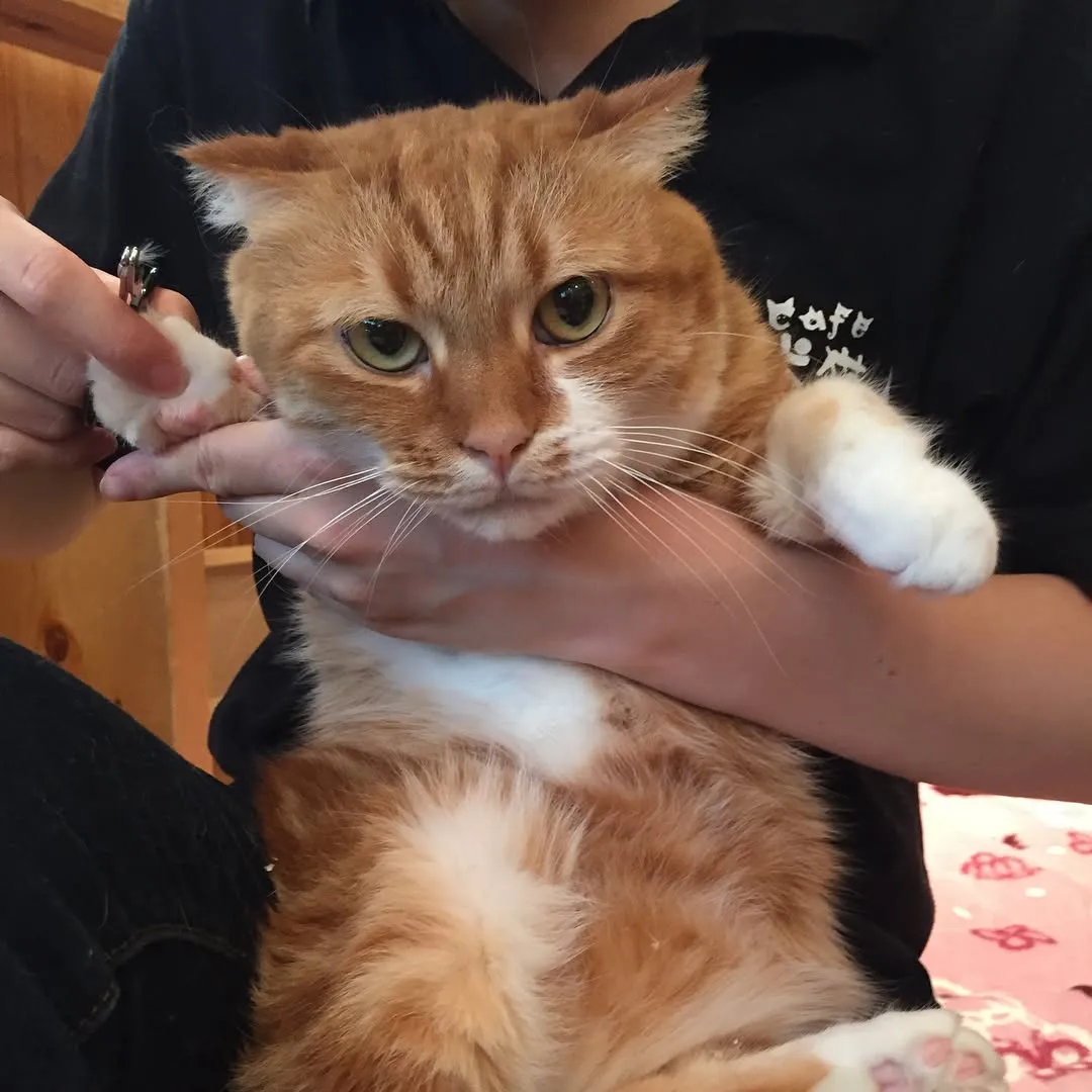 投稿の写真2