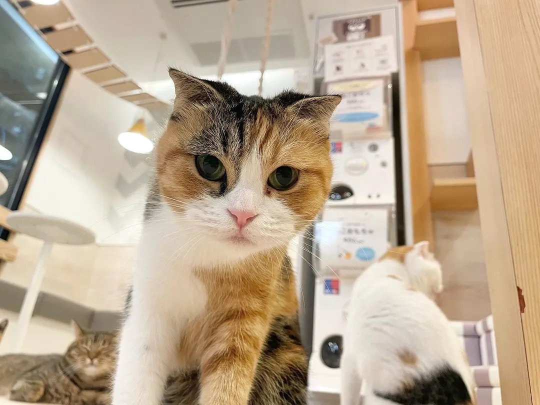 投稿の写真4