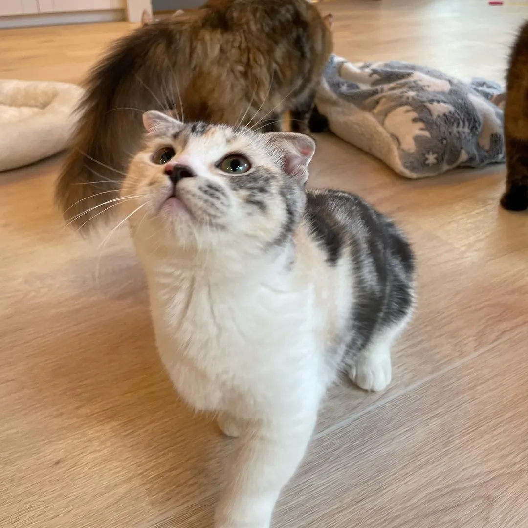 投稿の写真2