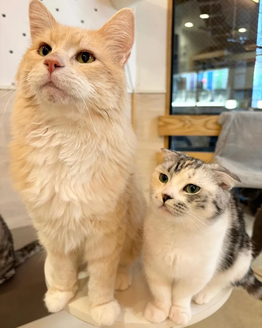投稿の写真
