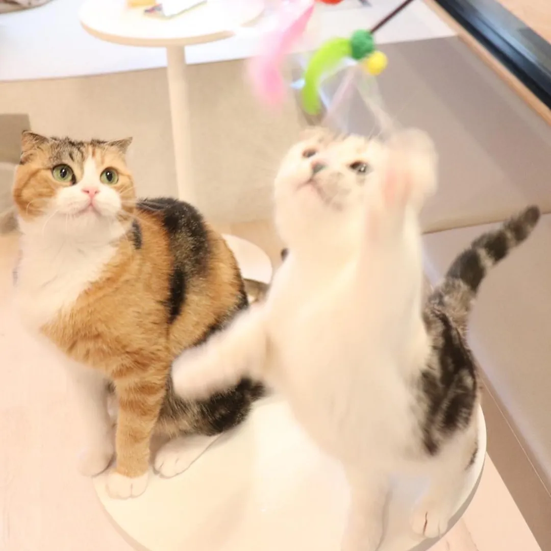 投稿の写真4