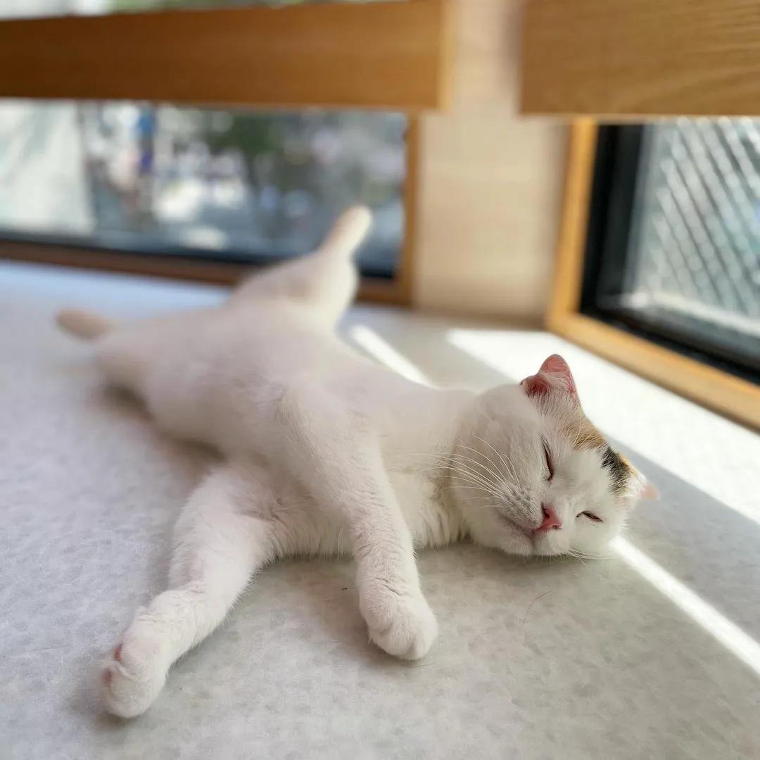 投稿の写真1