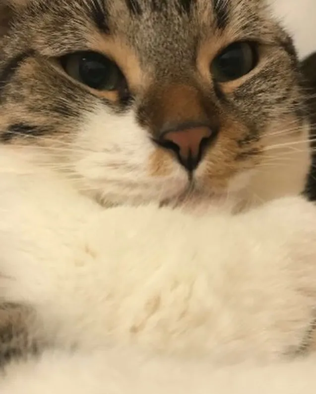 投稿の写真2