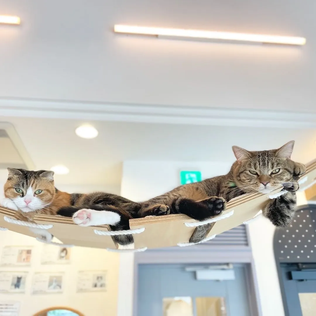 投稿の写真2
