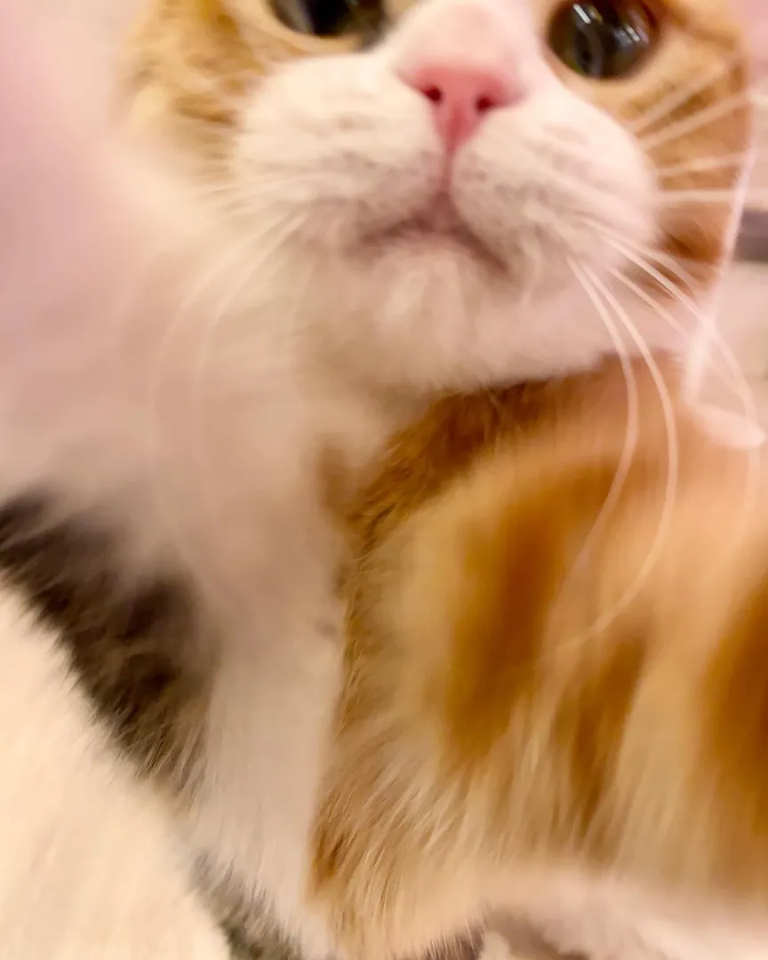 投稿の写真3