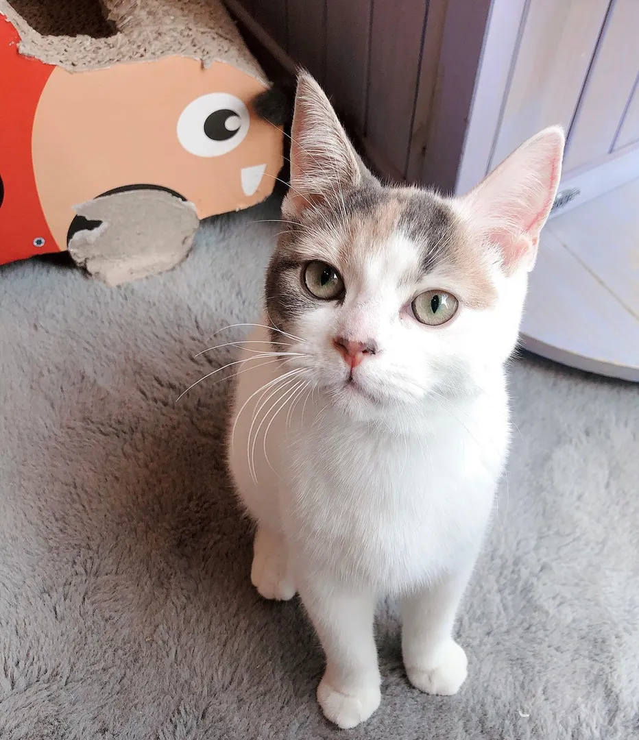 投稿の写真2